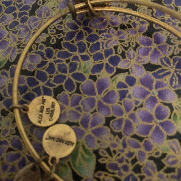 Alex and ani compass bangle - Picture 2 of 2